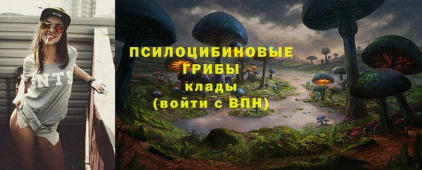 соль курить ск Алзамай